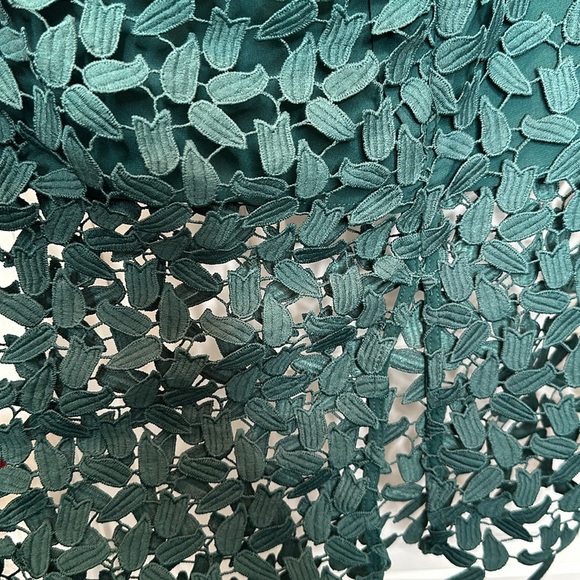 NWT.‎ Bardot | Dresses | Bardot - Gemma Midi Dress In Green size 8 - Picture 10 of 14